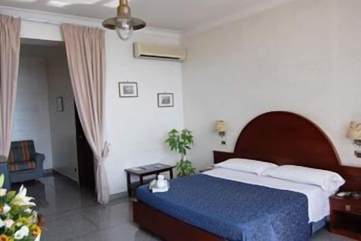A hotel room with a bed, a nightstand, a chair, a plant, and an air conditioning unit.
