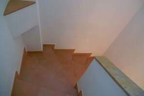 Parte interna