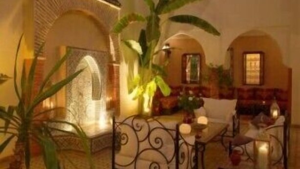 Un interior acogedor con zona de estar, una fuente decorativa y abundante vegetación.