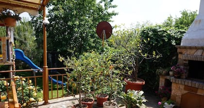 Margarita