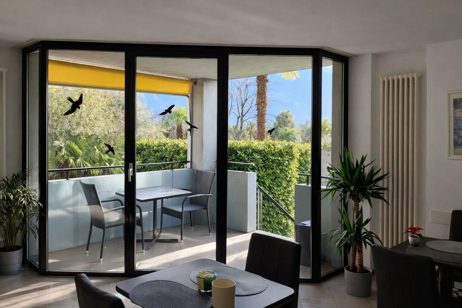 A modern outdoor dining area with a glass partition, a table, chairs, and potted plants.