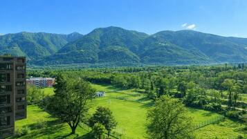 A residential area with a grassy field, a few trees, and a mountain range in the background.