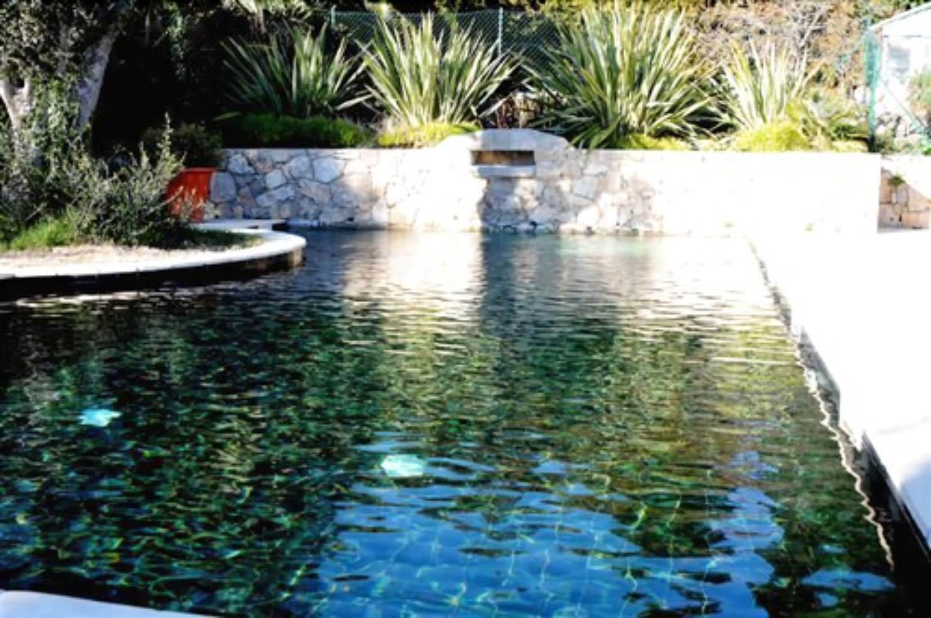 Ein klares Schwimmbecken mit Steinmauer und umlaufender Bepflanzung.
