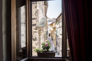 Vista desde la propiedad