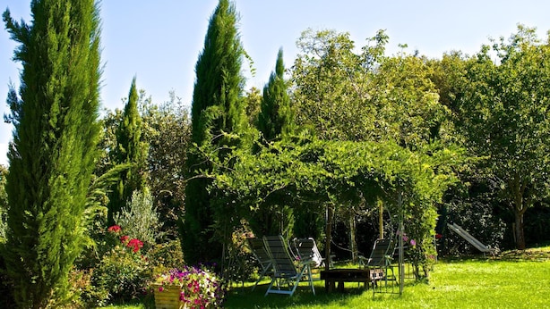 Un jardin agrémenté d’une pergola, d’un espace salon extérieur et d’une variété d’arbres et d’arbustes.