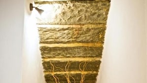 Une pièce étroite avec un plafond en pierre en pente, un plancher en bois et une décoration simple comprenant une plante.