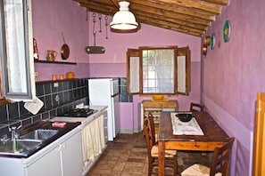 Fridge, oven, cookware/dishes/utensils, freezer