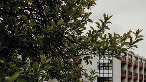 Un área de comedor al aire libre con mesas dispuestas para dos personas, rodeada de vegetación y un edificio al fondo.