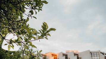 Ein Essbereich im Freien mit einem Tisch für zwei Personen, umgeben von Grünpflanzen und einem modernen Gebäude im Hintergrund.