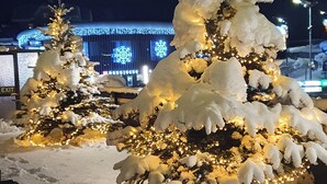 A snow-covered Christmas tree adorned with lights, set against a backdrop of a brightly lit building with snowflake decorations. - Hotel Bernerhof Grindelwald (Grindelwald)