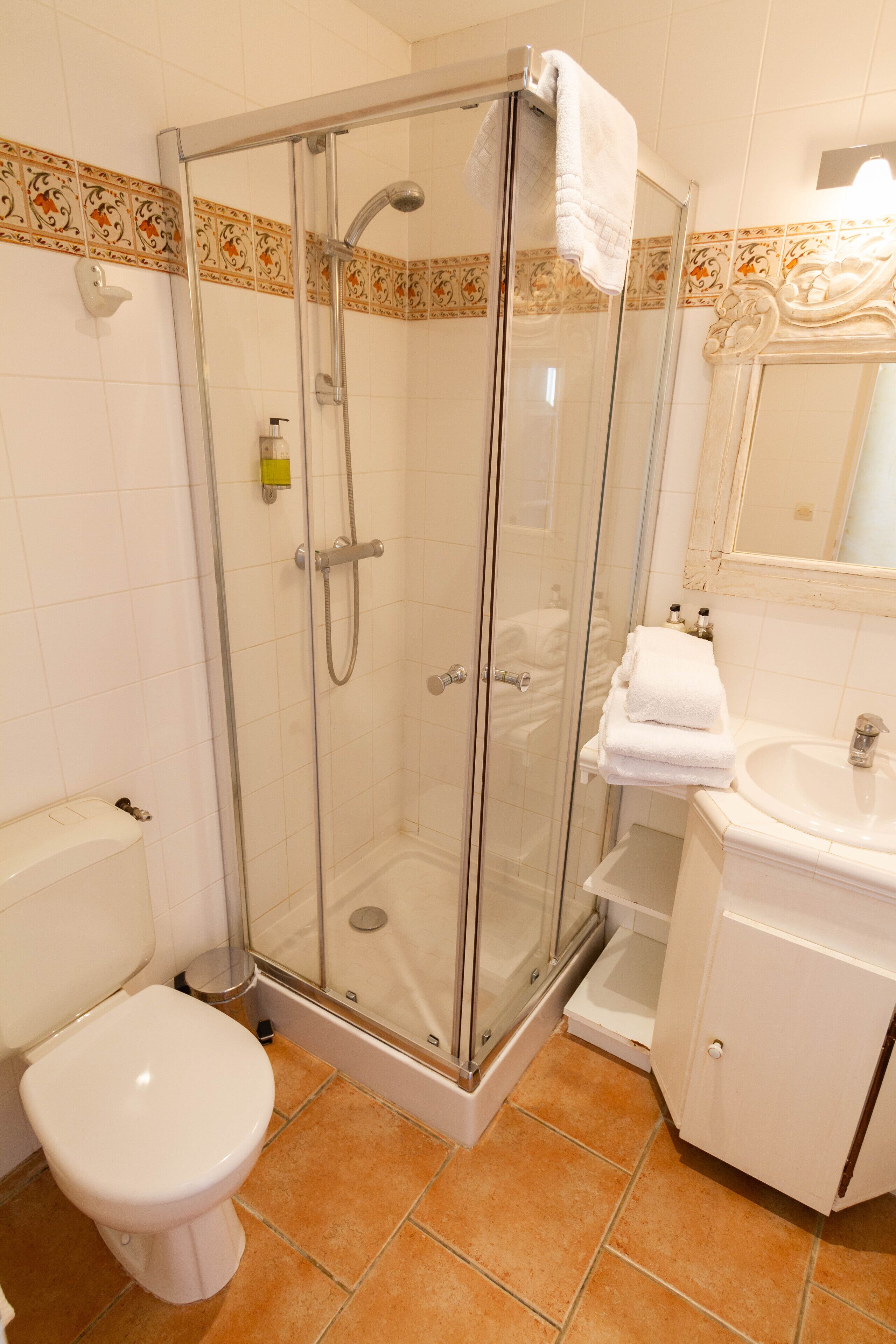 Une salle de bain avec une douche à parois de verre, des toilettes blanches et un lavabo avec un miroir au-dessus.