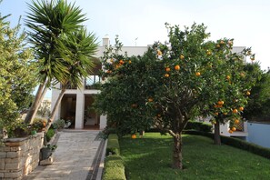 Taman