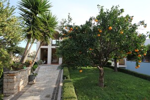 A pathway leading to a building with a well-maintained garden and a tree bearing fruit.