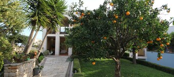 La Rosa Blu Bed & Breakfast