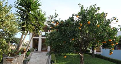 La Rosa Blu Bed & Breakfast