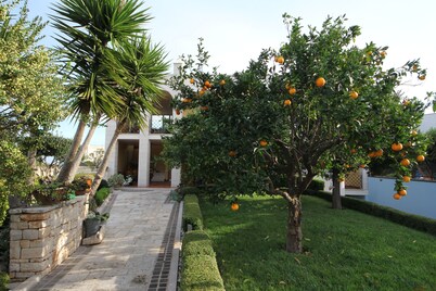 La Rosa Blu Bed & Breakfast