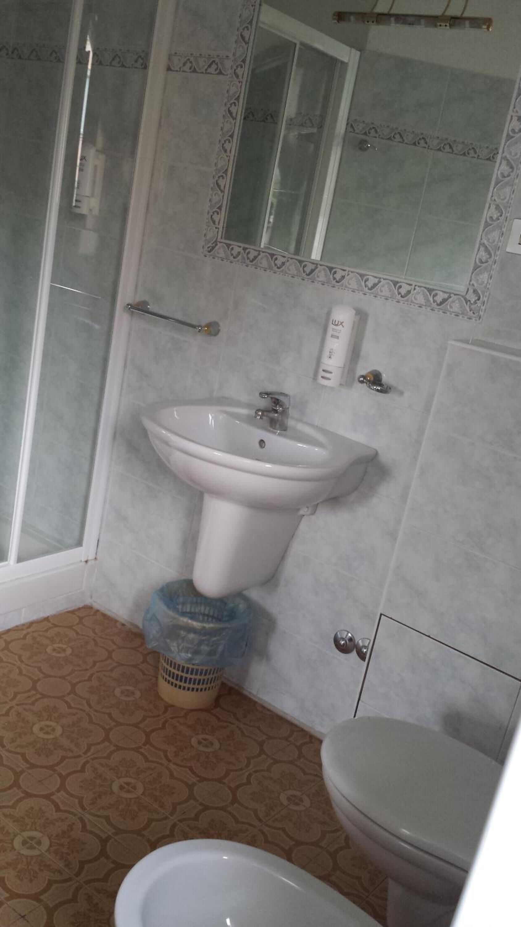 Une salle de bain avec un lavabo, des toilettes et une douche.