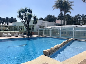 Una piscina con agua azul cristalina, rodeada de sillas de descanso y palmeras.