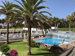 Un espace piscine doté de chaises longues, d’une piscine à ciel ouvert protégée par des parois en verre et de palmiers.
