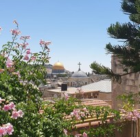 Vista de un edificio con cúpula y cruz, rodeado de vegetación y flores.