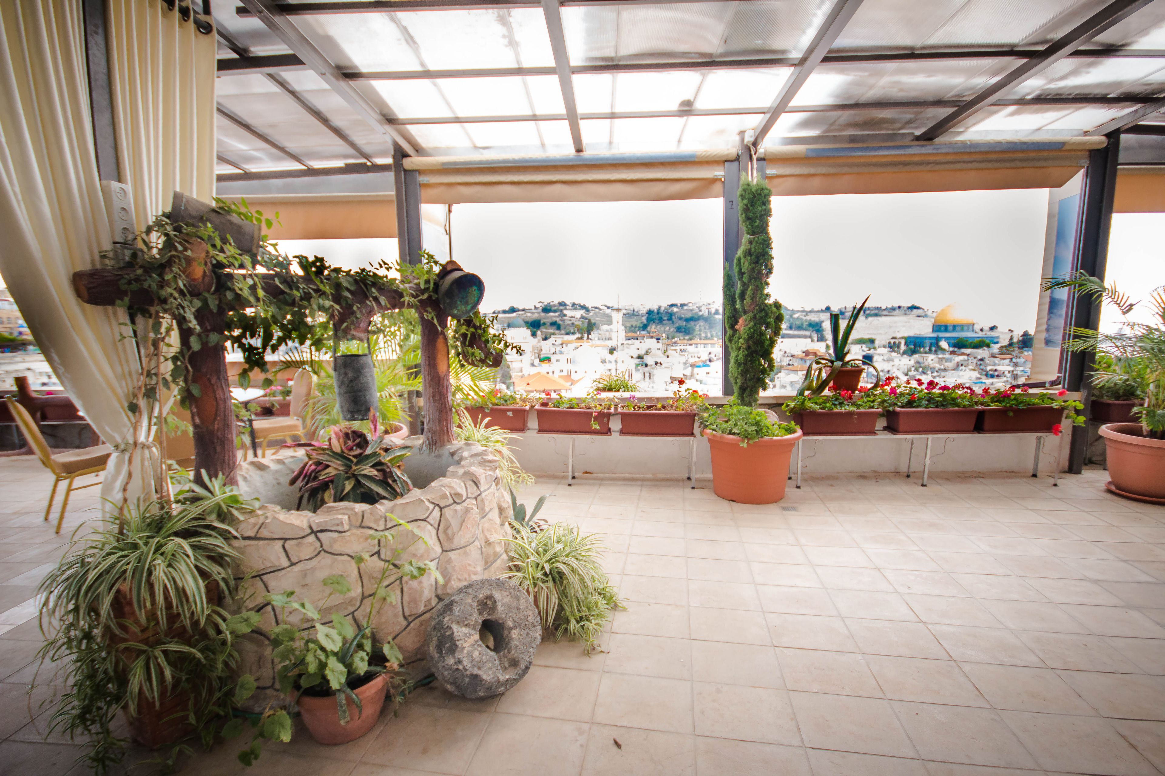 A rooftop terrace with potted plants, a stone wall, and a view of a cityscape.