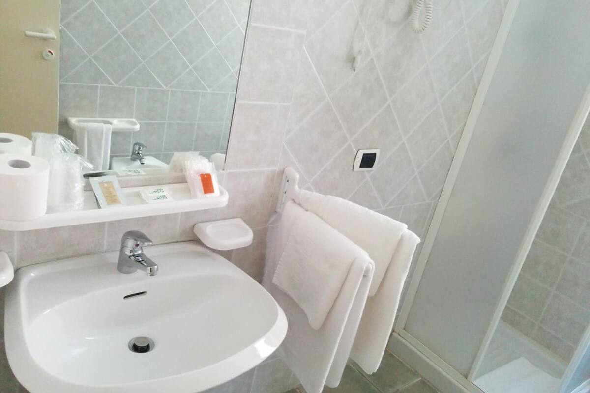 double or twin room | bathroom | shower, free toiletries, hair dryer, bidet