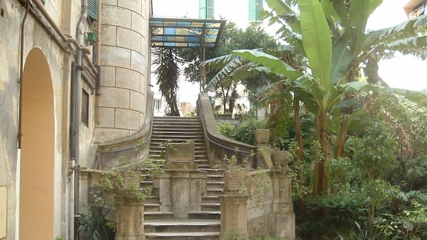 A stone staircase leading up to a covered entrance, surrounded by potted plants and greenery. - San Giovanni in Laterano (Rome)