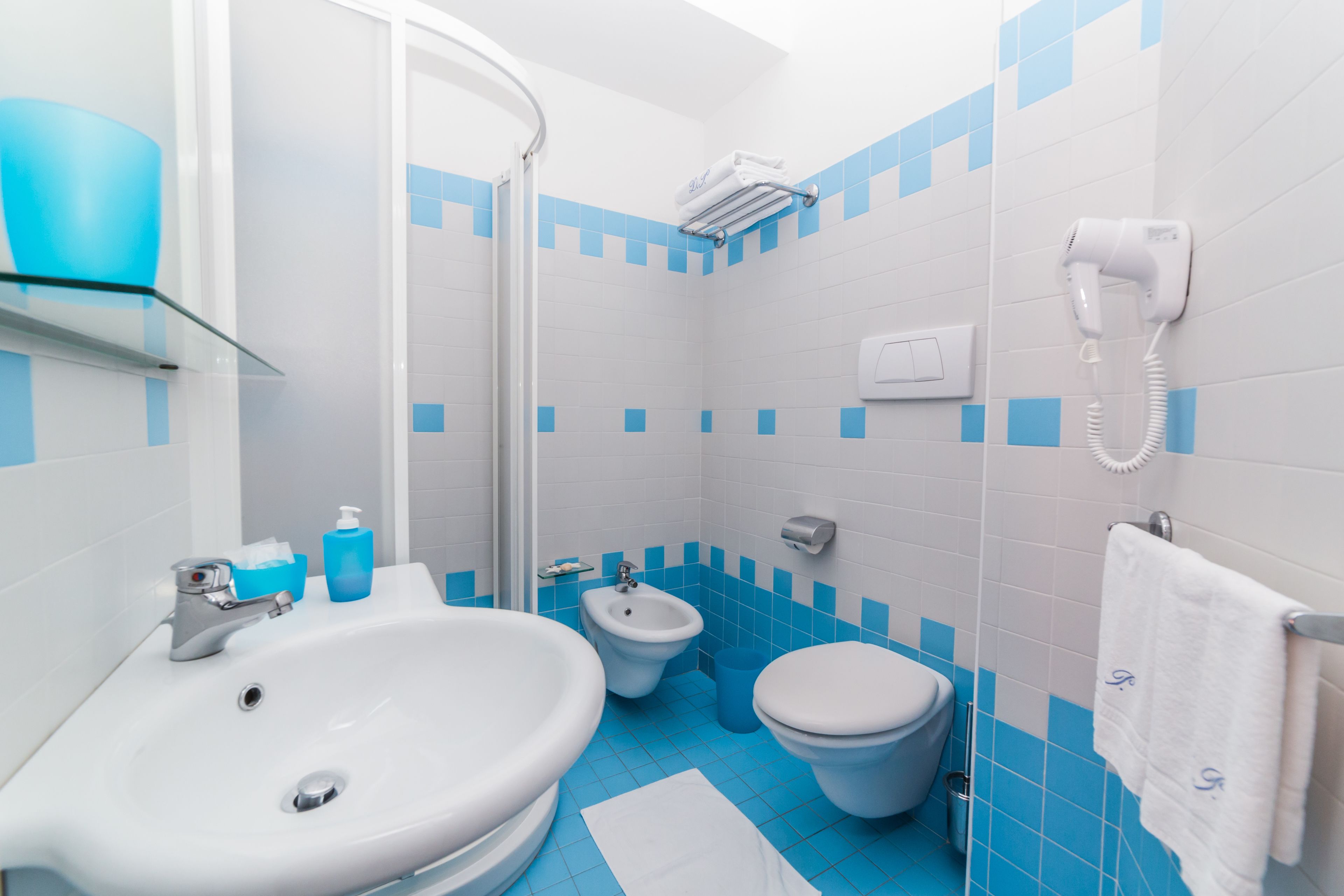 hair dryer, bidet, towels