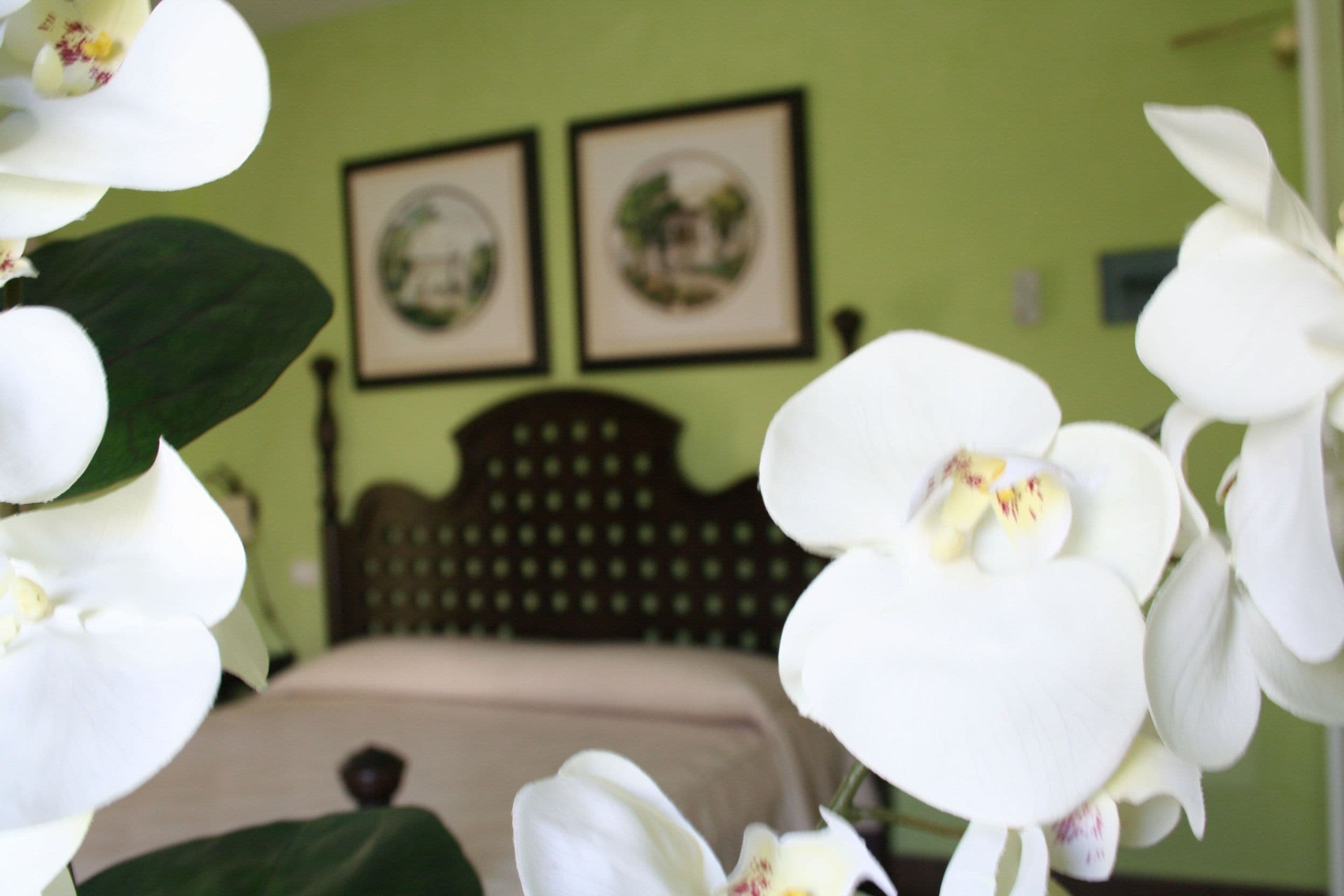 Foto - Hotel dei Coloniali