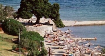 Water skiing, windsurfing, beach volleyball, rowing