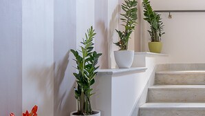 A staircase with white steps and a white wall. There are three potted plants on the wall, one with red flowers, and a yellow pot on the top step. - Garibaldi Relais (Sciacca)