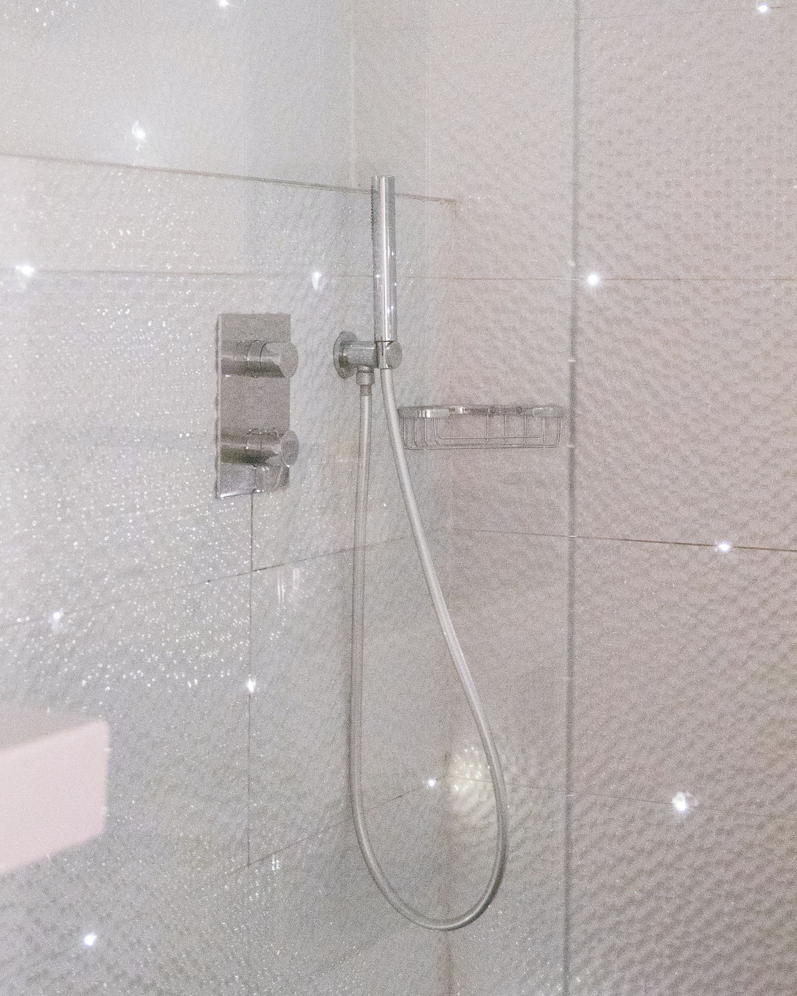 Ducha con manguera de mano y panel de control en la pared.