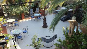 An outdoor patio with multiple tables and chairs, surrounded by various plants and a palm tree.