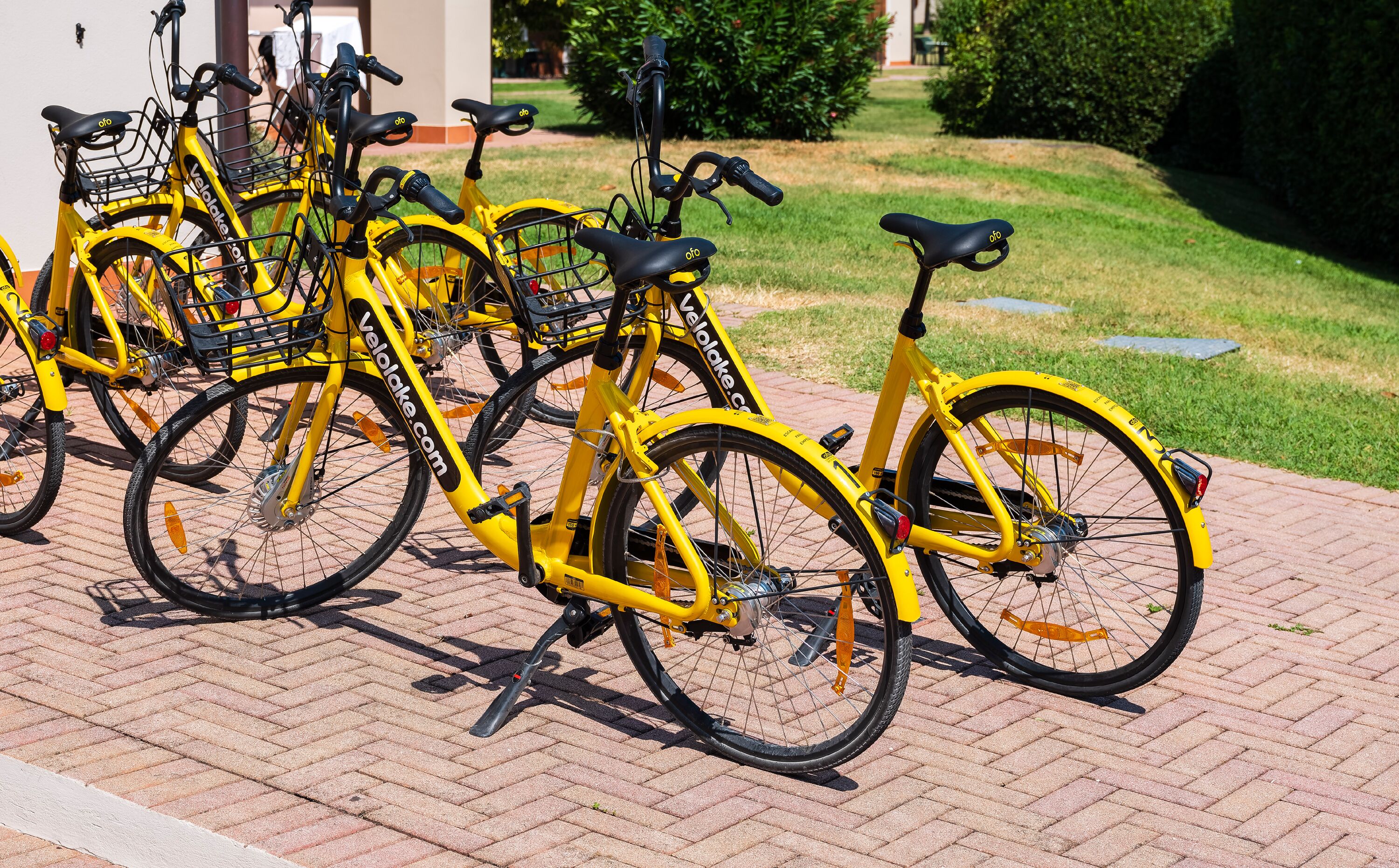 Una fila de bicicletas amarillas estacionadas sobre un pavimento de ladrillo.