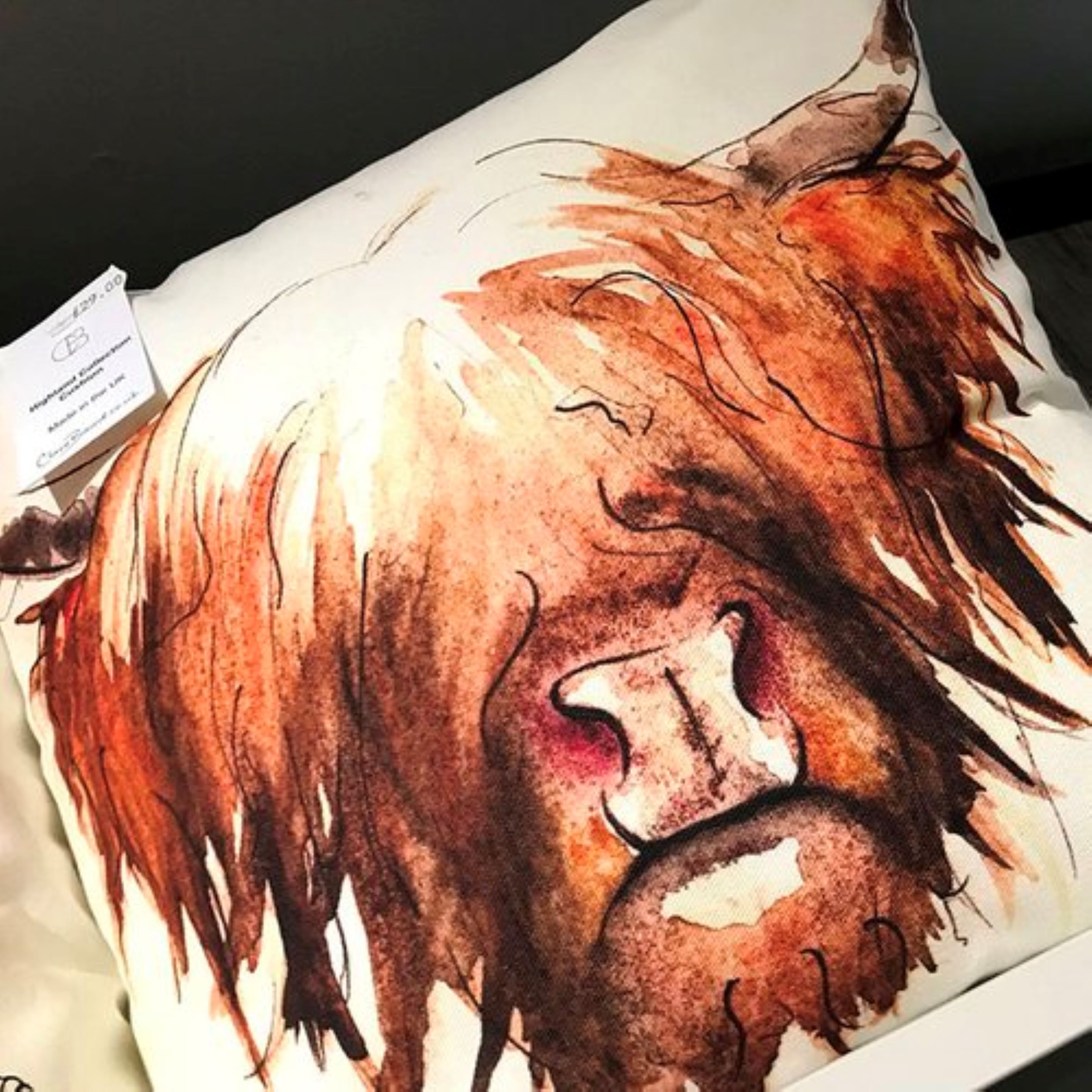 A pillow with a lion's face design.