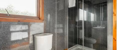 A bathroom with a toilet, a shower enclosure, and a window.