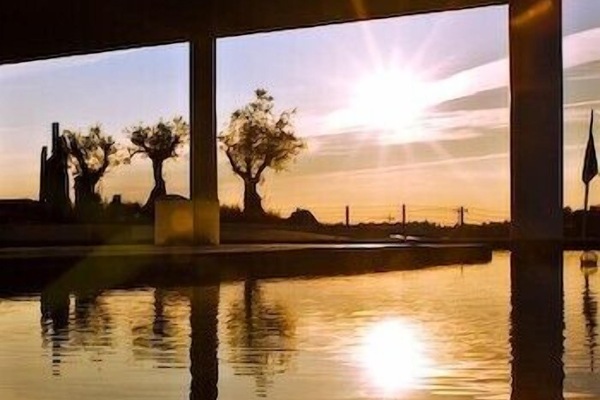 Pemandangan dari properti