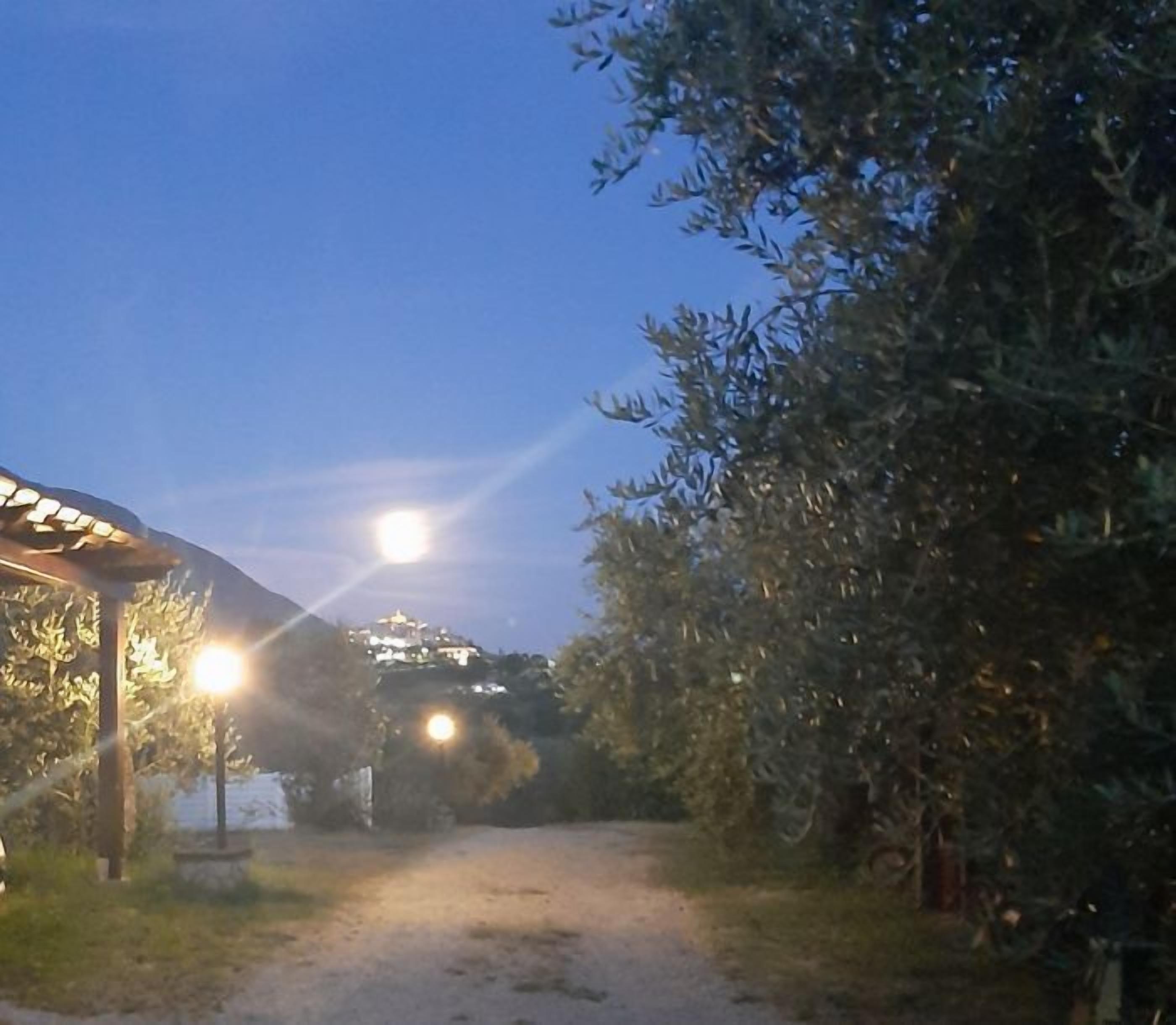 Ein Weg, der zu einem Gebäude mit einer Lichtquelle in der Ferne führt.