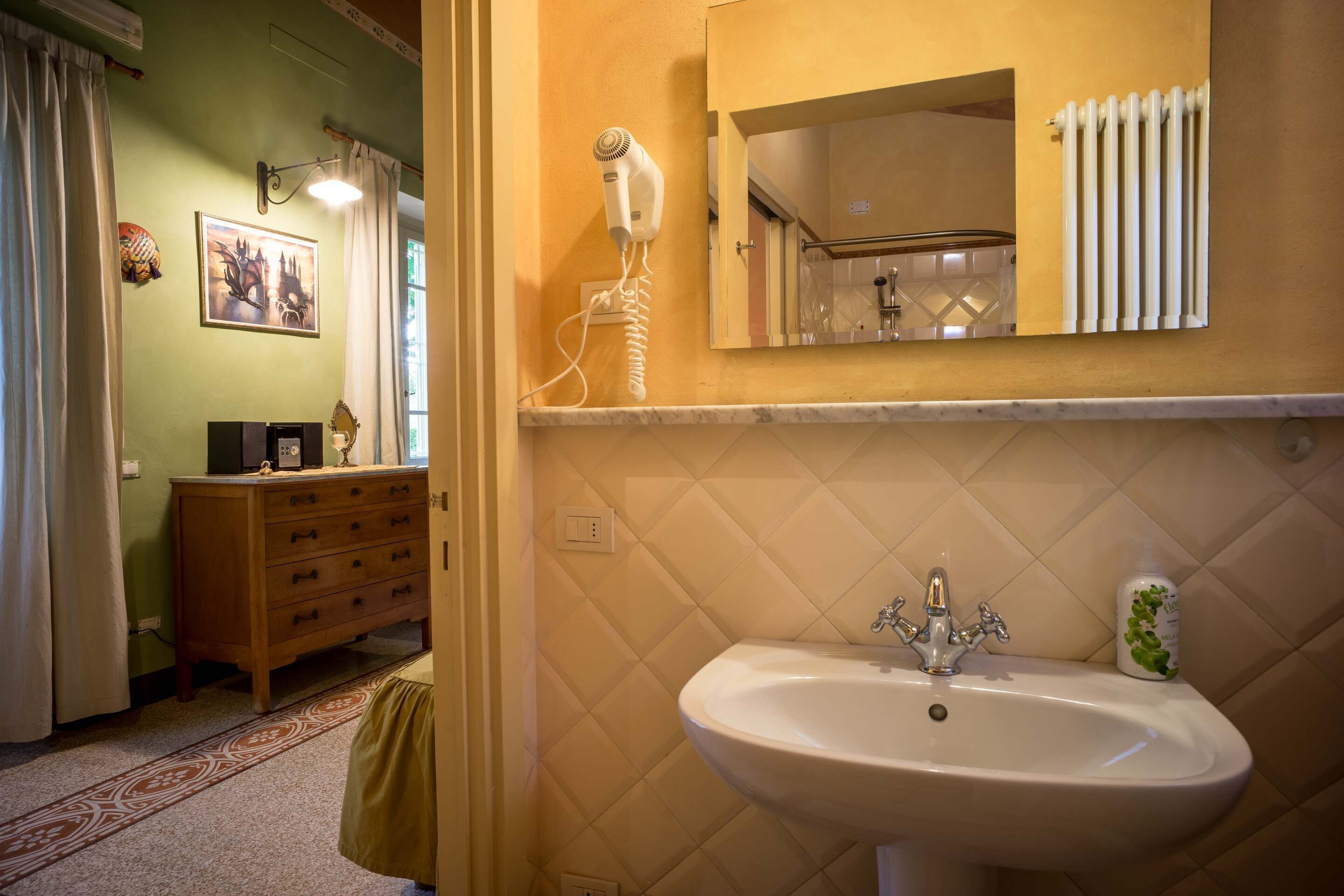 A bathroom with a sink, mirror, and hairdryer.