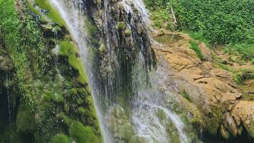 Una cascada fluye sobre rocas cubiertas de musgo hacia una piscina cristalina rodeada de abundante vegetación.