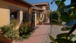 A building with a tiled roof, a covered walkway, and potted plants. - Podere Violino (Sansepolcro)