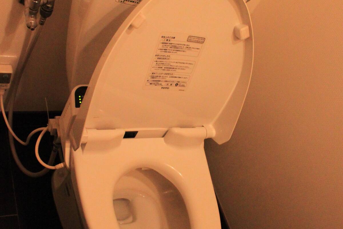 shower, free toiletries, hair dryer, slippers