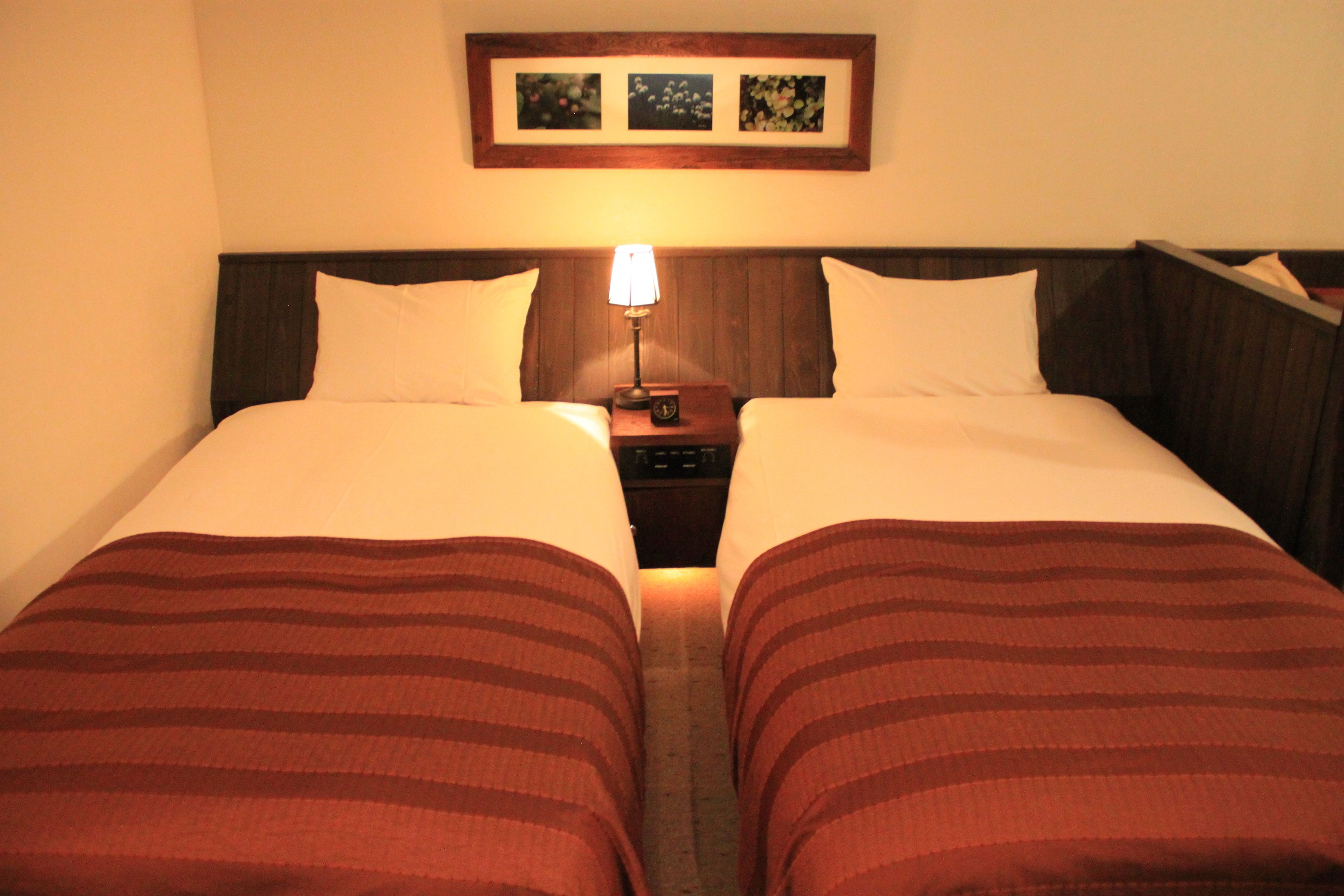 A double bed with a wooden headboard, a bedside table with a lamp, and a framed picture above the bed.