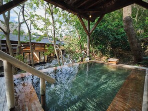 Hot springs - Yawatano Onsenkyo Morinoyu Kiranosato (Ito)