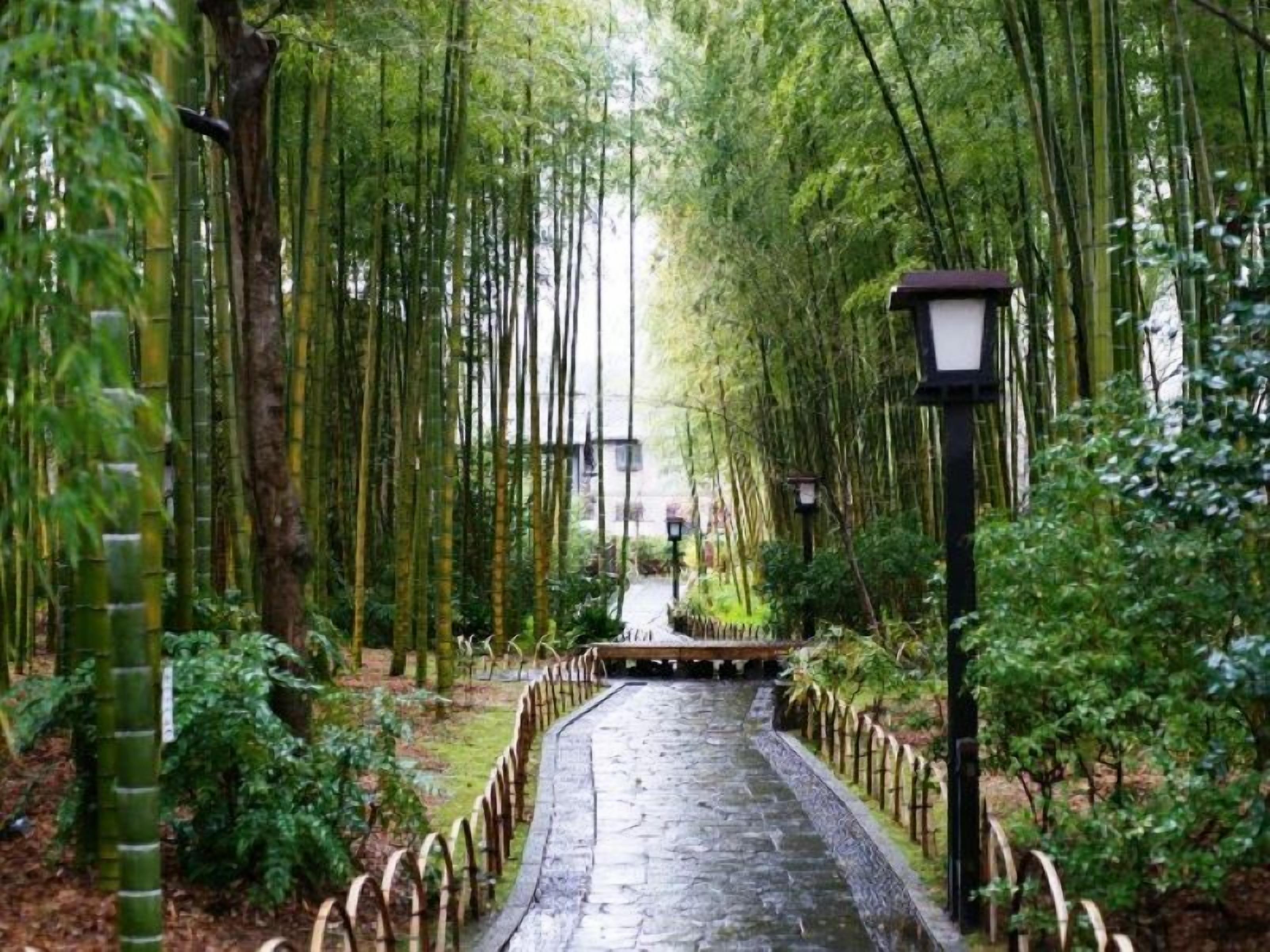 住宿城市景观