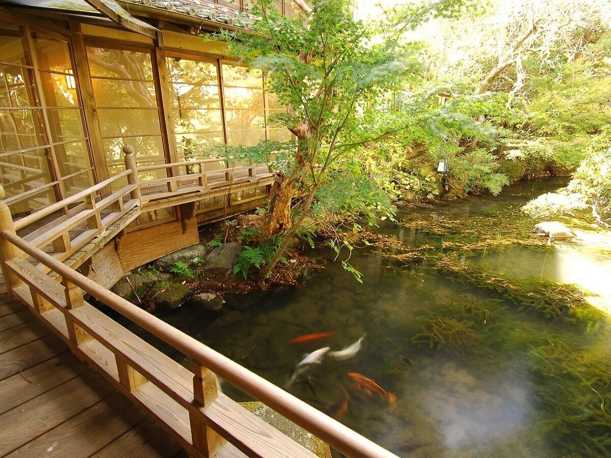 A wooden bridge over a pond with koi fish, surrounded by lush greenery.