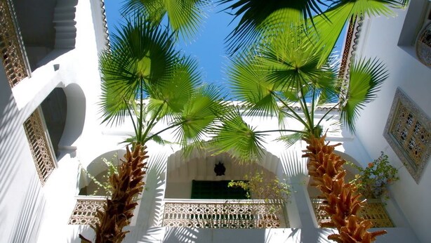 A courtyard with white walls, palm trees, and a green door. - Riad Vert Marrakech (Marrakech)