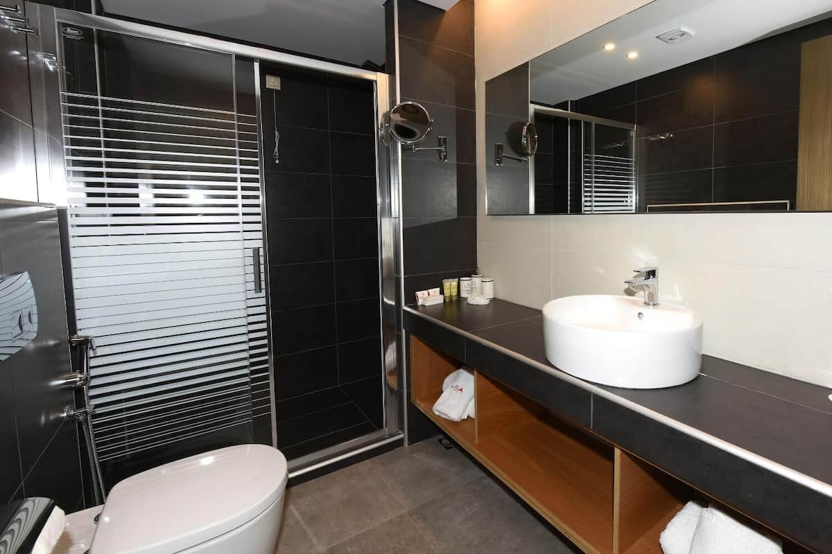 free toiletries, hair dryer, towels