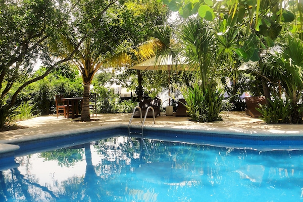 Outdoor pool, open 8 AM to 8 PM, sun loungers