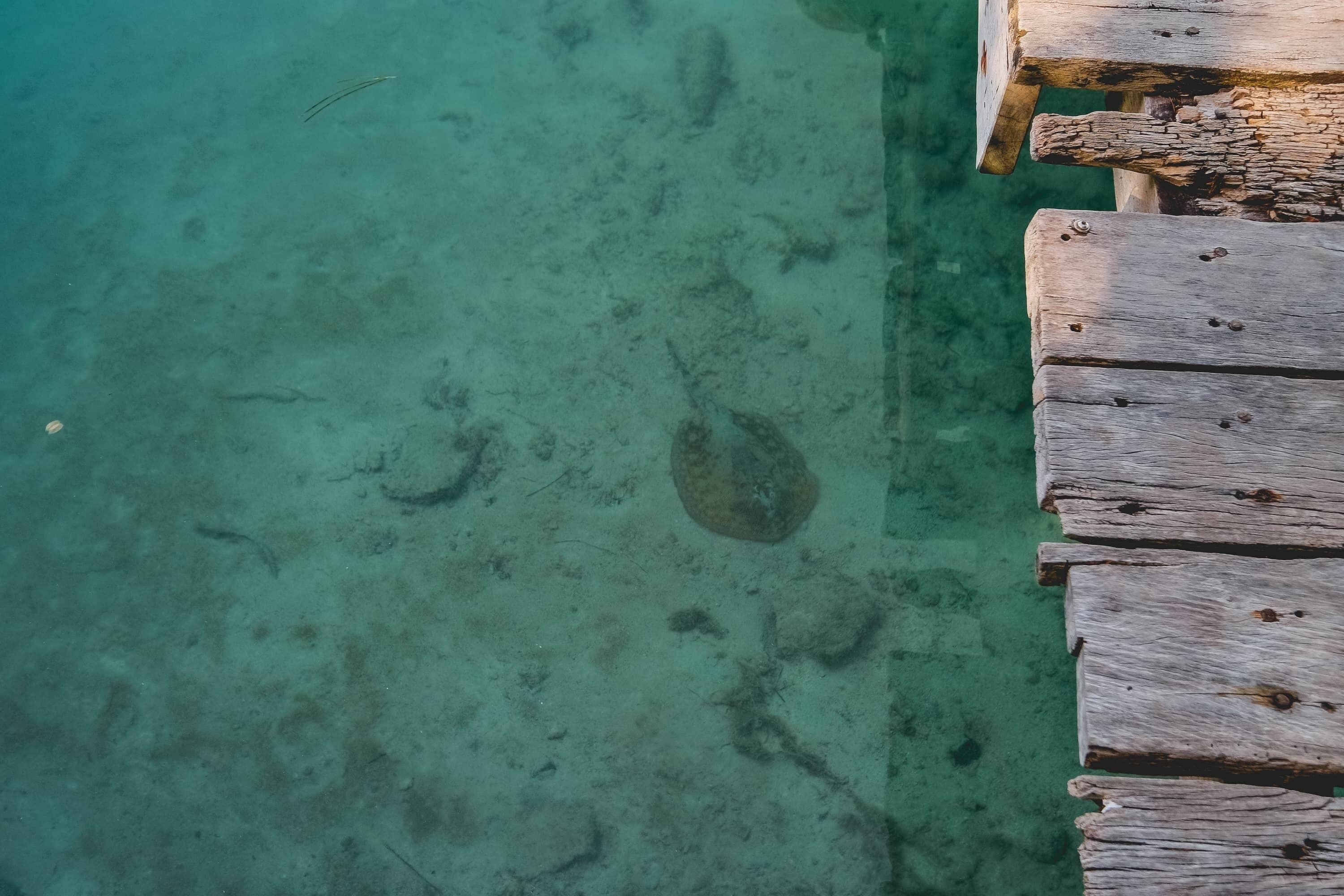 Foto - Sotavento Hotel & Yacht Club